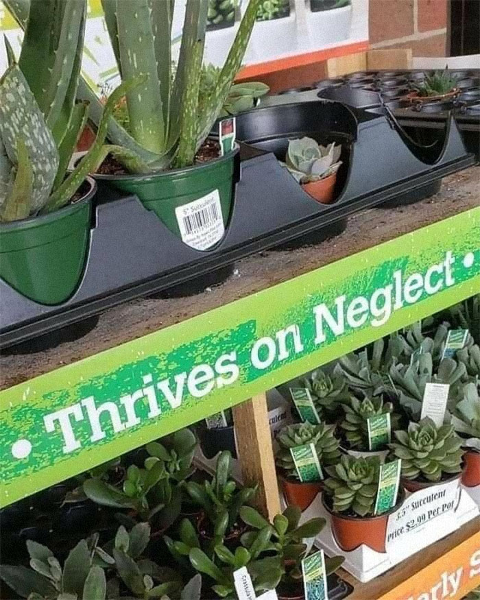 40 Best &#8216;Ads With Threatening Auras&#8217; Shared On This Hilarious Facebook Group