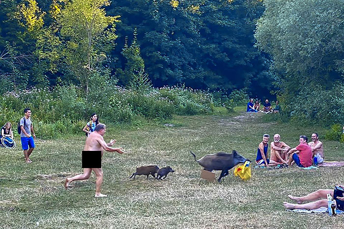 This Group Is Dedicated To Things That Only Happen In Europe, Here Are 50 Of The Most Interesting Ones This Group Is Dedicated To Things That Only Happen In Europe, Here Are 50 Of The Most Interesting Ones