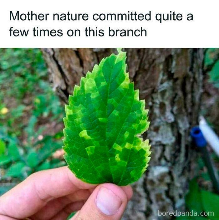 80 Funny Programming Memes That Prove Debugging Is A Universal Struggle 80 Funny Programming Memes That Prove Debugging Is A Universal Struggle