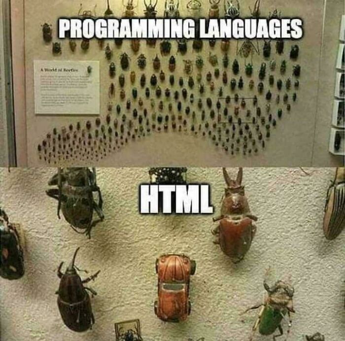 80 Funny Programming Memes That Prove Debugging Is A Universal Struggle 80 Funny Programming Memes That Prove Debugging Is A Universal Struggle