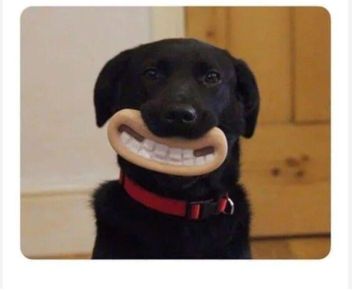 This Online Group Is All About Stuff That ‘You Didn’t Know You Wanted’ (50 New Pics) This Online Group Is All About Stuff That ‘You Didn’t Know You Wanted’ (50 New Pics)