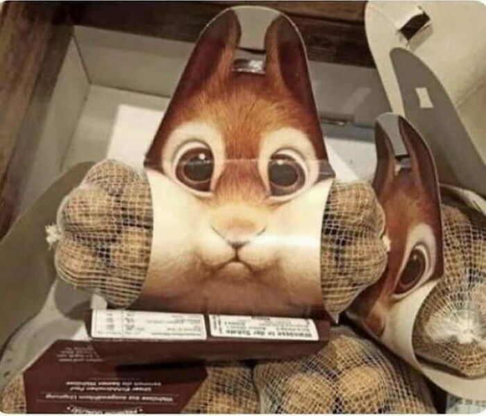 This Online Group Is All About Stuff That ‘You Didn’t Know You Wanted’ (50 New Pics) This Online Group Is All About Stuff That ‘You Didn’t Know You Wanted’ (50 New Pics)