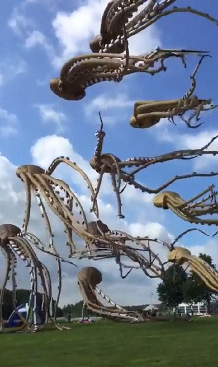 This Online Group Is All About Stuff That ‘You Didn’t Know You Wanted’ (50 New Pics) This Online Group Is All About Stuff That ‘You Didn’t Know You Wanted’ (50 New Pics)