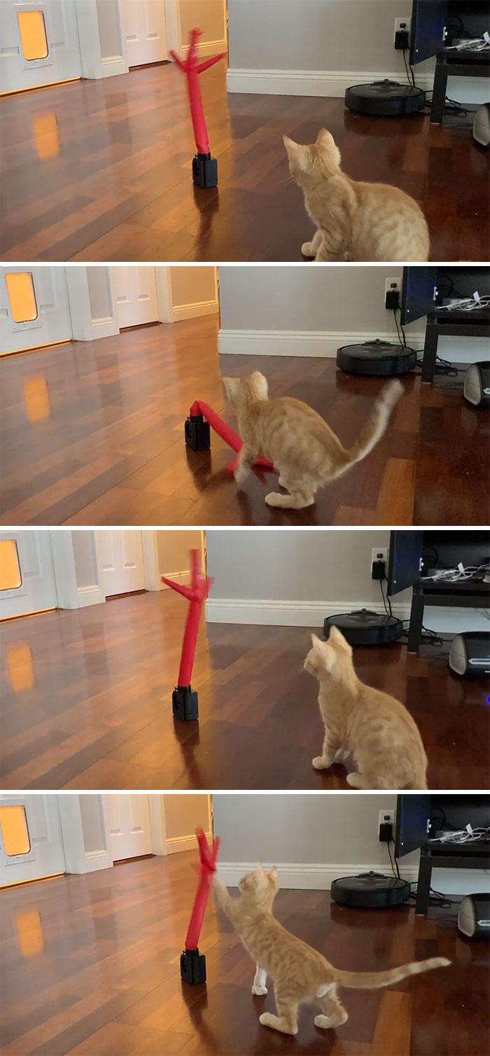 This Online Group Is All About Stuff That ‘You Didn’t Know You Wanted’ (50 New Pics) This Online Group Is All About Stuff That ‘You Didn’t Know You Wanted’ (50 New Pics)