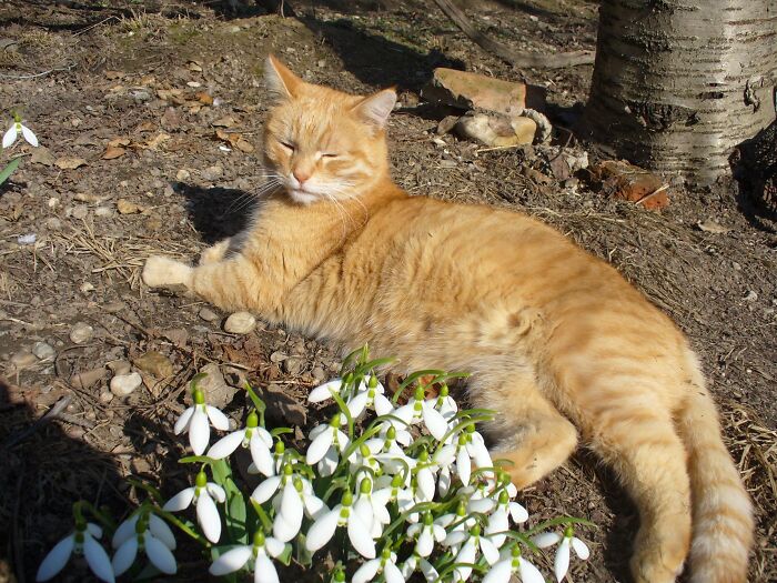 This Online Group Is All About Stuff That ‘You Didn’t Know You Wanted’ (50 New Pics) This Online Group Is All About Stuff That ‘You Didn’t Know You Wanted’ (50 New Pics)