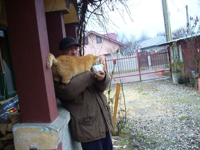 This Online Group Is All About Stuff That ‘You Didn’t Know You Wanted’ (50 New Pics) This Online Group Is All About Stuff That ‘You Didn’t Know You Wanted’ (50 New Pics)