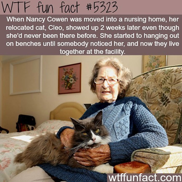 This Instagram Account Collects Mind-Boggling Facts About Our World And Here Are 50 Of The Wildest Ones