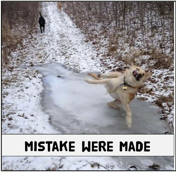 200k People Are Loving This Funny Instagram Page That Shares “Very Finnish Problems” (50 New Pics) 200k People Are Loving This Funny Instagram Page That Shares “Very Finnish Problems” (50 New Pics)