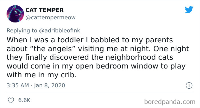 40 Unexpected Real-Life Plot Twists That Might Surprise You More Than You Expected