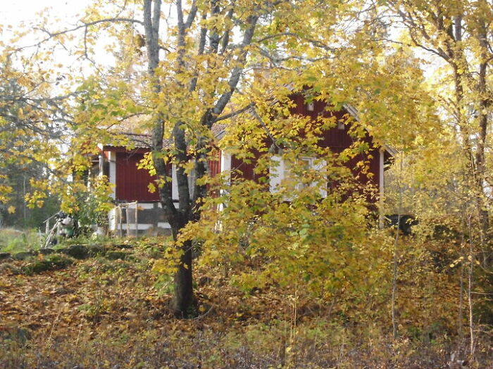 Hey Pandas, What’s The Part You Love About Your House (Closed) Hey Pandas, What’s The Part You Love About Your House (Closed)