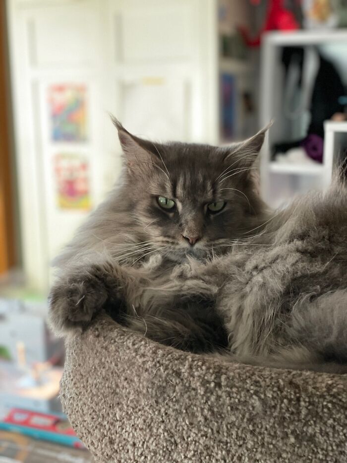 Hey Pandas, What’s The Part You Love About Your House (Closed) Hey Pandas, What’s The Part You Love About Your House (Closed)