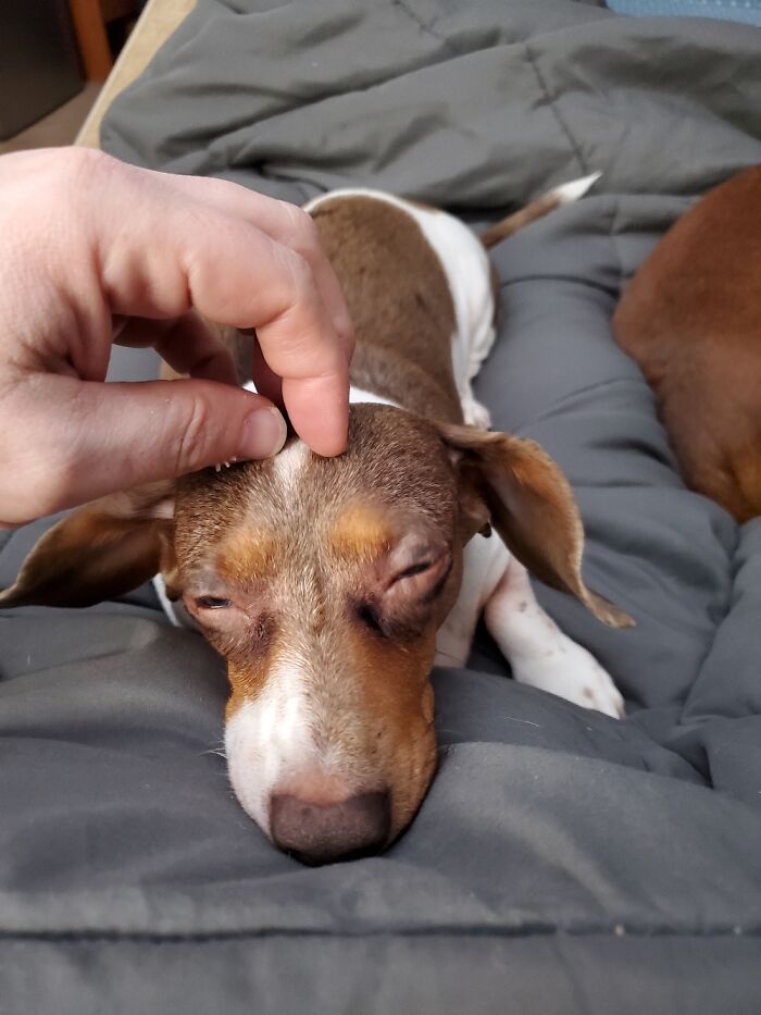 Hey Pandas, What’s The Part You Love About Your House (Closed) Hey Pandas, What’s The Part You Love About Your House (Closed)