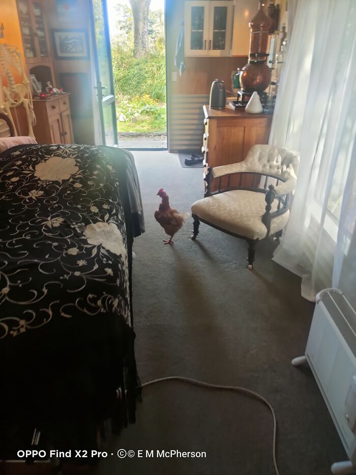 Hey Pandas, What’s The Part You Love About Your House (Closed) Hey Pandas, What’s The Part You Love About Your House (Closed)