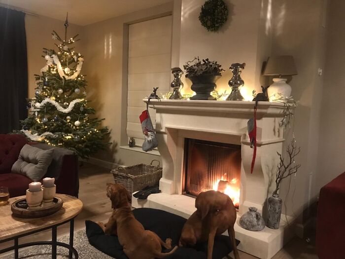 Hey Pandas, What’s The Part You Love About Your House (Closed) Hey Pandas, What’s The Part You Love About Your House (Closed)