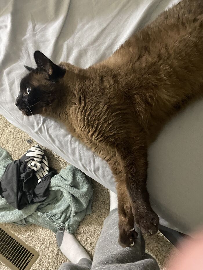 Hey Pandas, What’s The Part You Love About Your House (Closed) Hey Pandas, What’s The Part You Love About Your House (Closed)