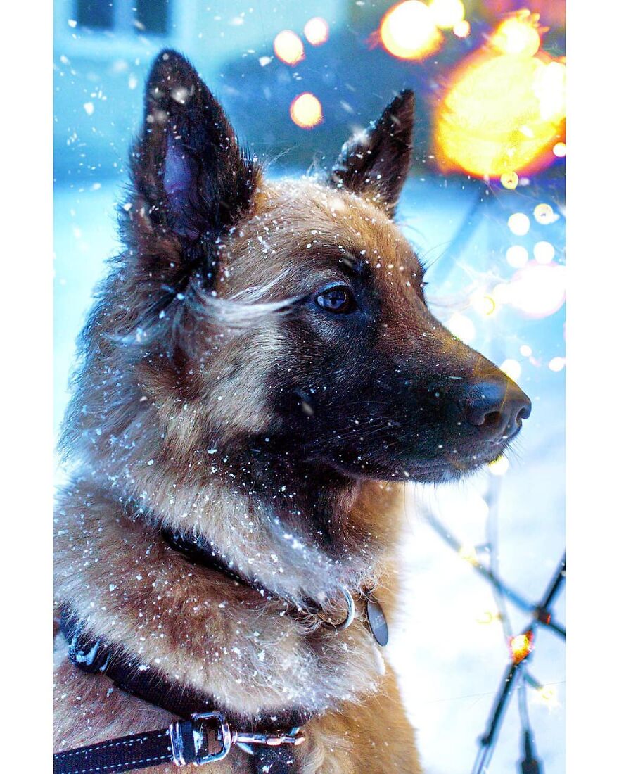 This Reddit Group Is All About Sharing Photos That Amateurs Took, And They Show Just How Good Casual Photographers Are (108 Pics)