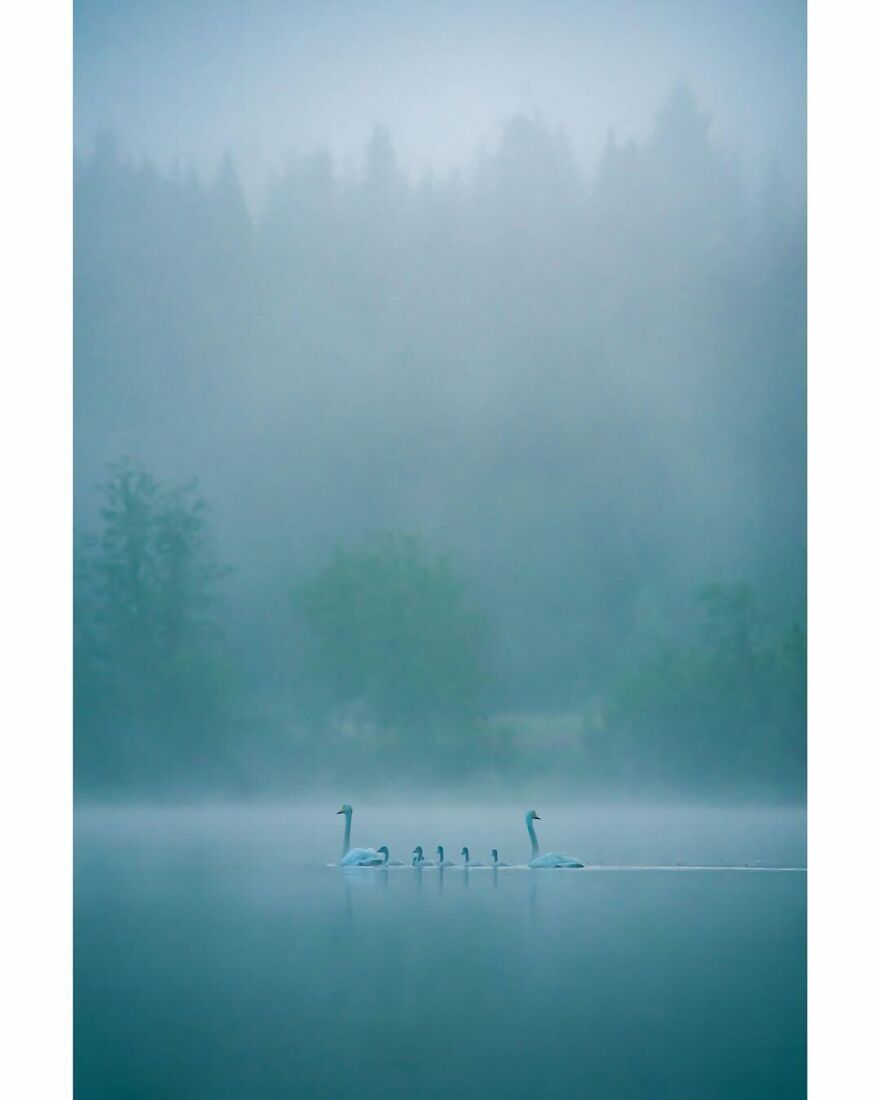 This Reddit Group Is All About Sharing Photos That Amateurs Took, And They Show Just How Good Casual Photographers Are (108 Pics)