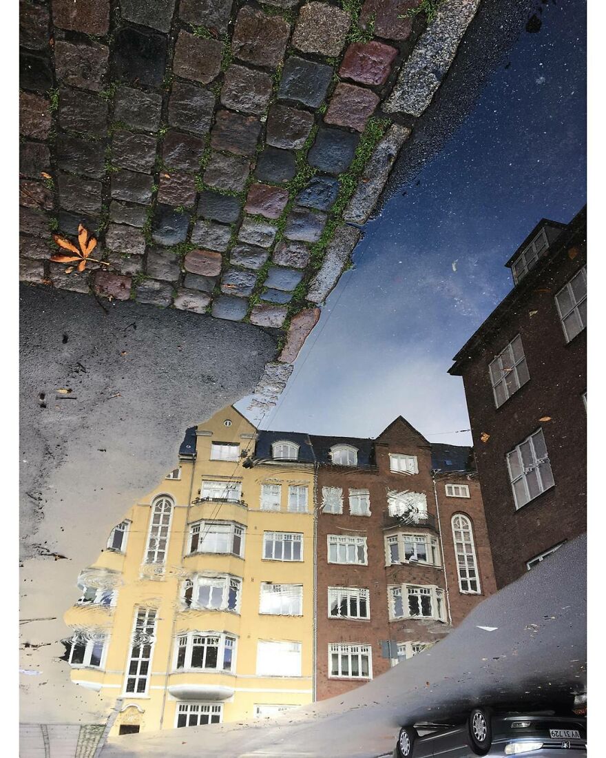 This Reddit Group Is All About Sharing Photos That Amateurs Took, And They Show Just How Good Casual Photographers Are (108 Pics)