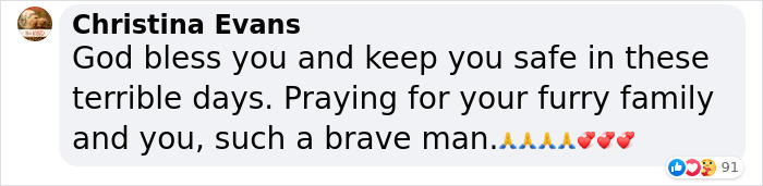 “We Would Never Leave Our Country”: Ukrainian Cat Café Stays Open Amid War “We Would Never Leave Our Country”: Ukrainian Cat Café Stays Open Amid War