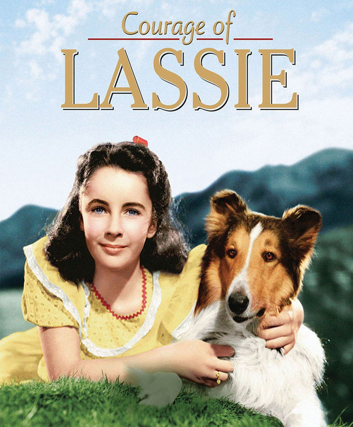 110 Of The Best Dog Movies That No Animal Lover Should Miss 110 Of The Best Dog Movies That No Animal Lover Should Miss