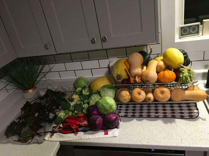 This Online Group Encourages People To Live Frugally, And Here Are 50 Of Their Best Money-Saving Hacks (New Pics) This Online Group Encourages People To Live Frugally, And Here Are 50 Of Their Best Money-Saving Hacks (New Pics)