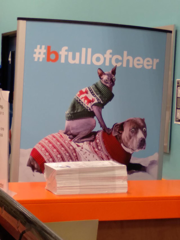 40 Times Wiggle Eyes Made Random Objects Better, As Shared In ‘Eyebombing’ Online Community (New Pics) 40 Times Wiggle Eyes Made Random Objects Better, As Shared In ‘Eyebombing’ Online Community (New Pics)