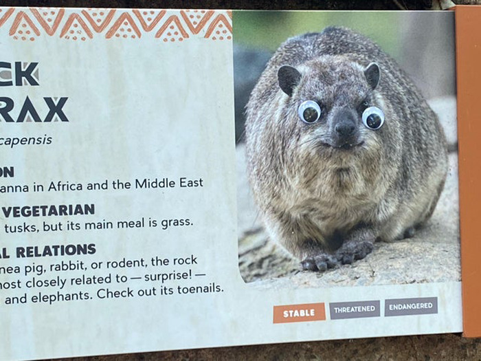 40 Times Wiggle Eyes Made Random Objects Better, As Shared In ‘Eyebombing’ Online Community (New Pics) 40 Times Wiggle Eyes Made Random Objects Better, As Shared In ‘Eyebombing’ Online Community (New Pics)