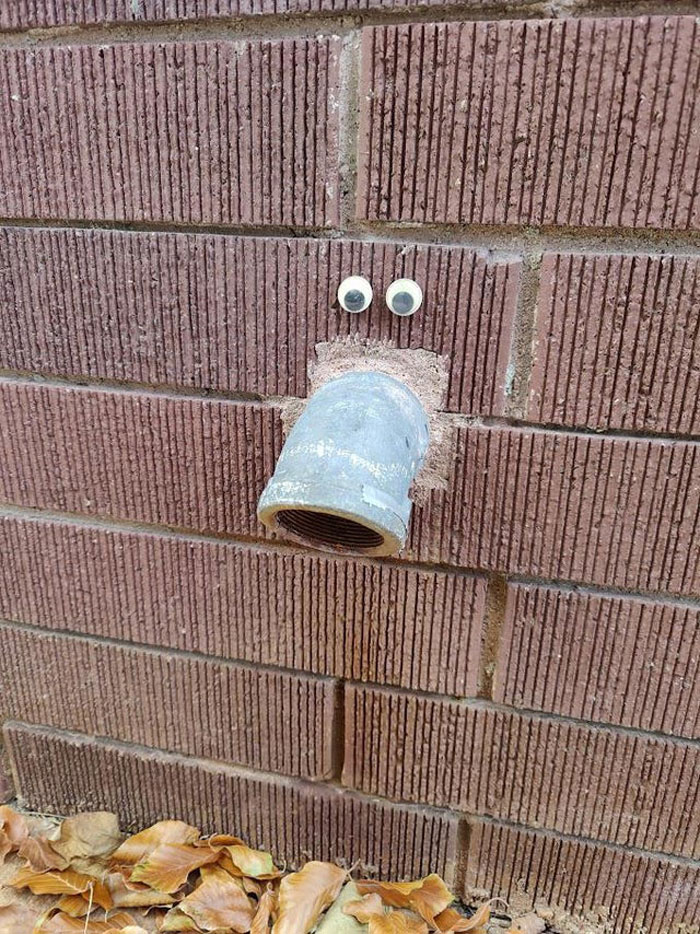 40 Times Wiggle Eyes Made Random Objects Better, As Shared In ‘Eyebombing’ Online Community (New Pics) 40 Times Wiggle Eyes Made Random Objects Better, As Shared In ‘Eyebombing’ Online Community (New Pics)