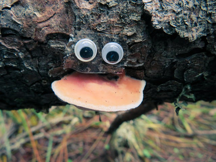 40 Times Wiggle Eyes Made Random Objects Better, As Shared In ‘Eyebombing’ Online Community (New Pics) 40 Times Wiggle Eyes Made Random Objects Better, As Shared In ‘Eyebombing’ Online Community (New Pics)