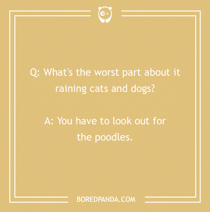 128 Dog Jokes That Might Make You Howl With Laughter 128 Dog Jokes That Might Make You Howl With Laughter