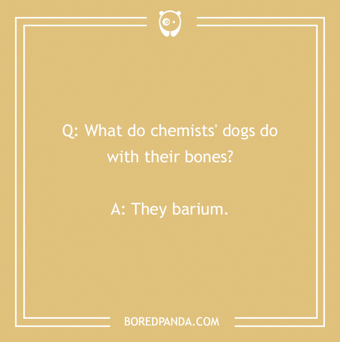 128 Dog Jokes That Might Make You Howl With Laughter 128 Dog Jokes That Might Make You Howl With Laughter