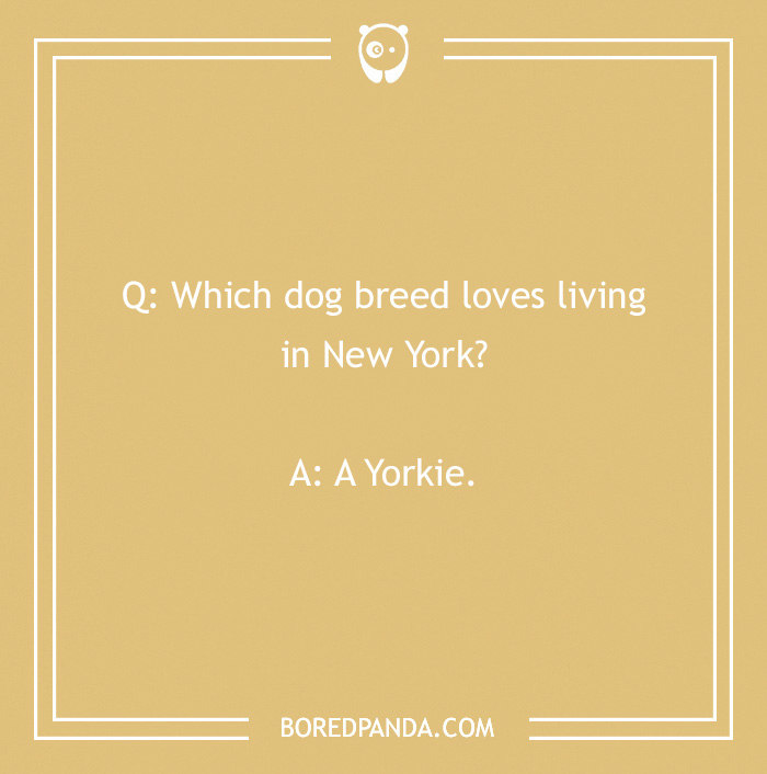 128 Dog Jokes That Might Make You Howl With Laughter 128 Dog Jokes That Might Make You Howl With Laughter