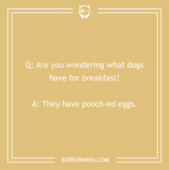 128 Dog Jokes That Might Make You Howl With Laughter 128 Dog Jokes That Might Make You Howl With Laughter