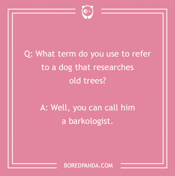 128 Dog Jokes That Might Make You Howl With Laughter 128 Dog Jokes That Might Make You Howl With Laughter