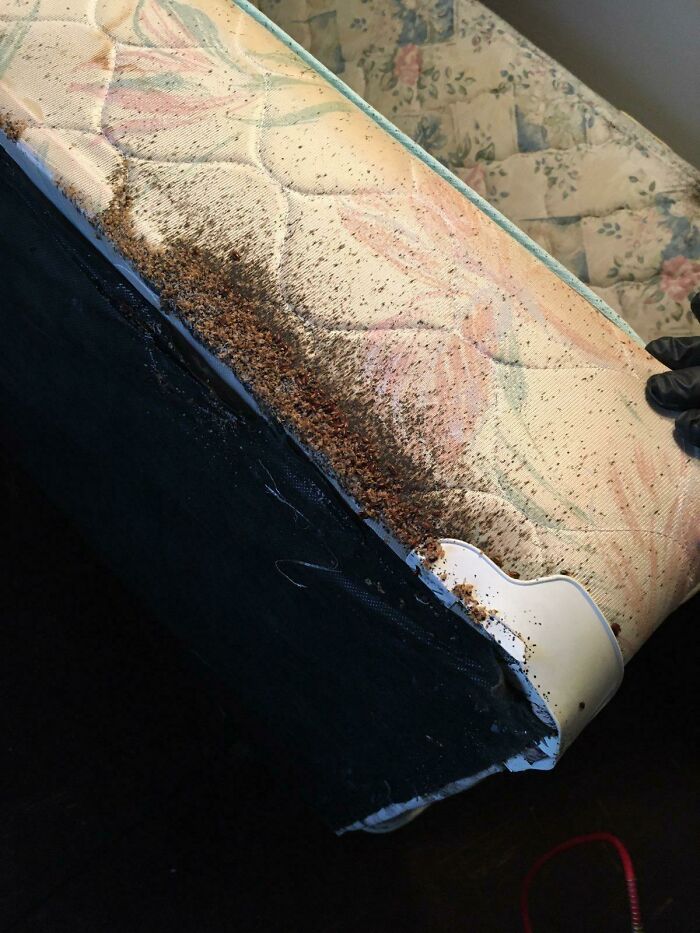 “Well, That Sucks”: 30 Times Really Unfortunate Things Happened To People’s Homes (New Pics)