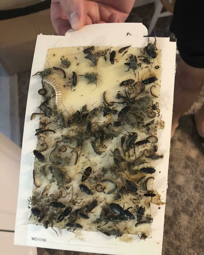 “Well, That Sucks”: 30 Times Really Unfortunate Things Happened To People’s Homes (New Pics)