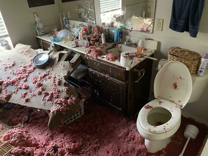 “Well, That Sucks”: 30 Times Really Unfortunate Things Happened To People’s Homes (New Pics)