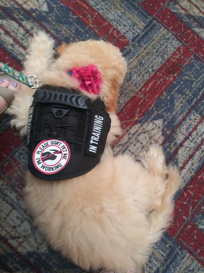 Hey Pandas, Post A Picture Of Your Pet Sleeping (Closed) Hey Pandas, Post A Picture Of Your Pet Sleeping (Closed)