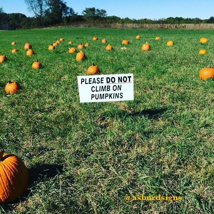 40 Of The Best Pics From This Instagram Account That Is Dedicated To The Most Random, Absurd Or Ridiculous Signs 40 Of The Best Pics From This Instagram Account That Is Dedicated To The Most Random, Absurd Or Ridiculous Signs