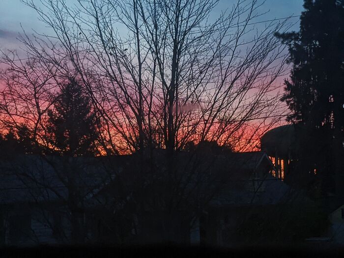 Hey Pandas, Post Your Favorite Book (Closed) Hey Pandas, Post Your Favorite Book (Closed)