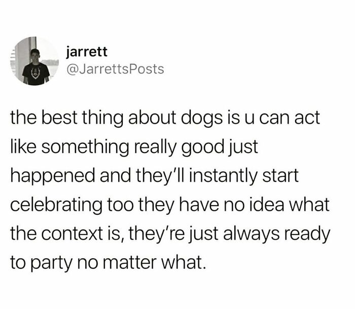 ‘The True Memeing Of Life’: 50 Tastefully Offensive Tweets Shared On This Instagram Page ‘The True Memeing Of Life’: 50 Tastefully Offensive Tweets Shared On This Instagram Page