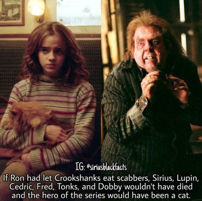 This Online Group Shares Funny Memes That Fans Of Harry Potter Might Enjoy, Here Are 30 Of The Best