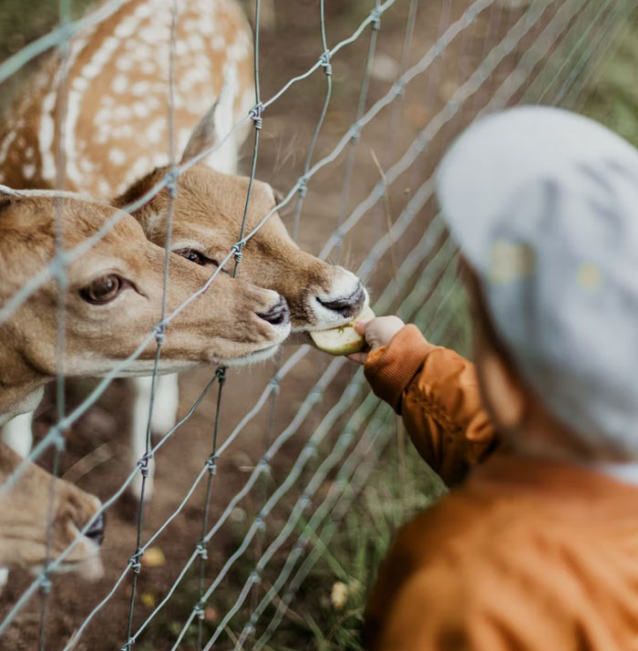 30 People Who Disappeared Share What Happened To Them 30 People Who Disappeared Share What Happened To Them