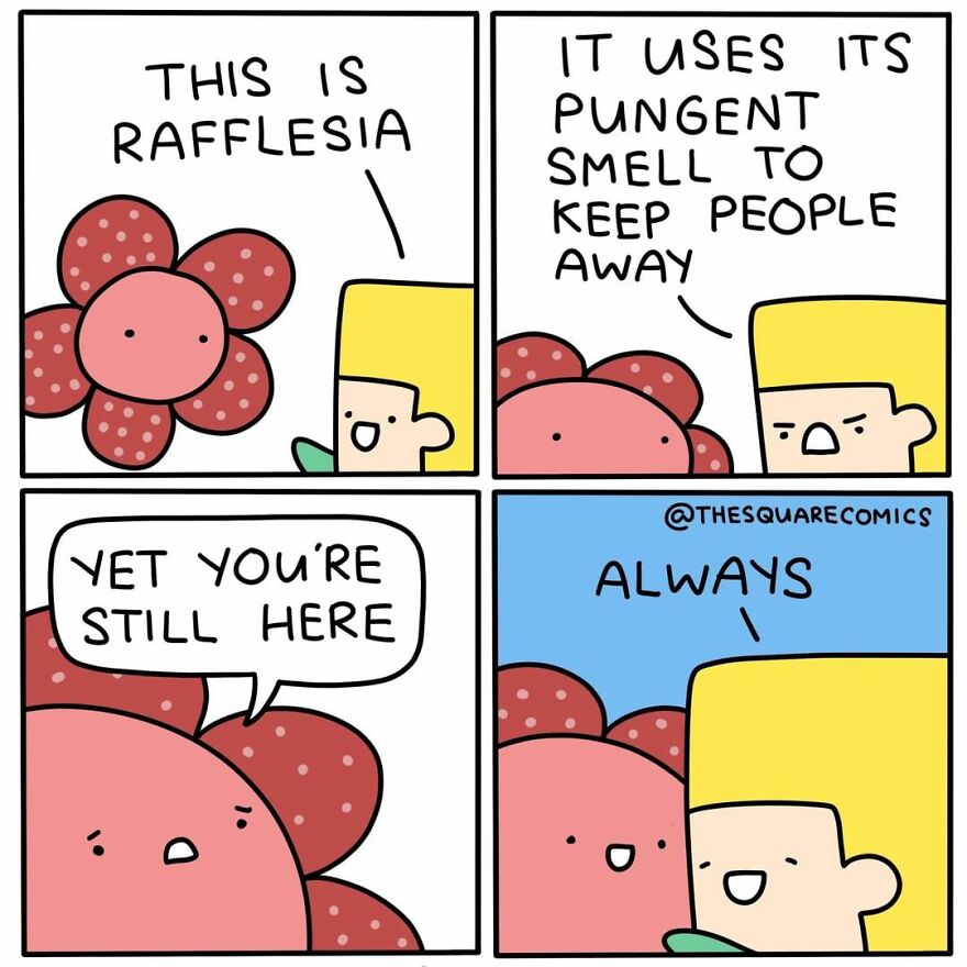 30 Comics That Are Perfect For People Who Have A Dark Sense Of Humor By The Square Comics (New Pics)