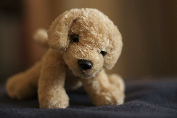 30 Of The Dumbest Lies These People Thought Were 100% True When They Were Kids 30 Of The Dumbest Lies These People Thought Were 100% True When They Were Kids