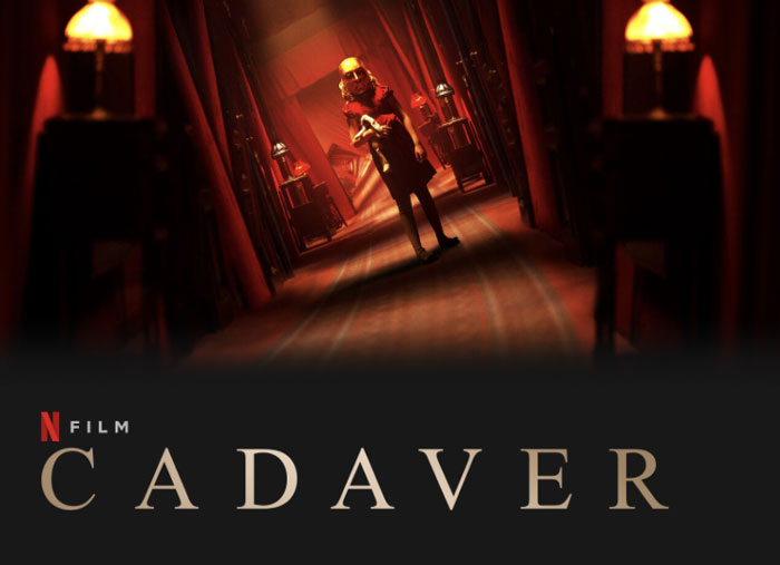 116 Of The Best Horror Movies You Can Find On Netflix 116 Of The Best Horror Movies You Can Find On Netflix