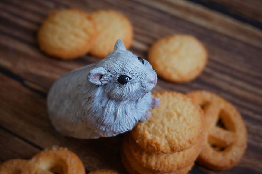 70 Tiny Animal Sculptures That I Created From Clay 70 Tiny Animal Sculptures That I Created From Clay