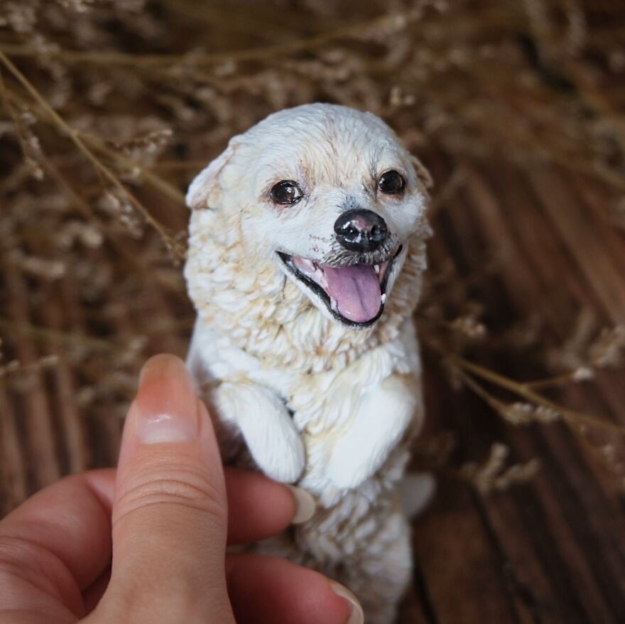 70 Tiny Animal Sculptures That I Created From Clay 70 Tiny Animal Sculptures That I Created From Clay