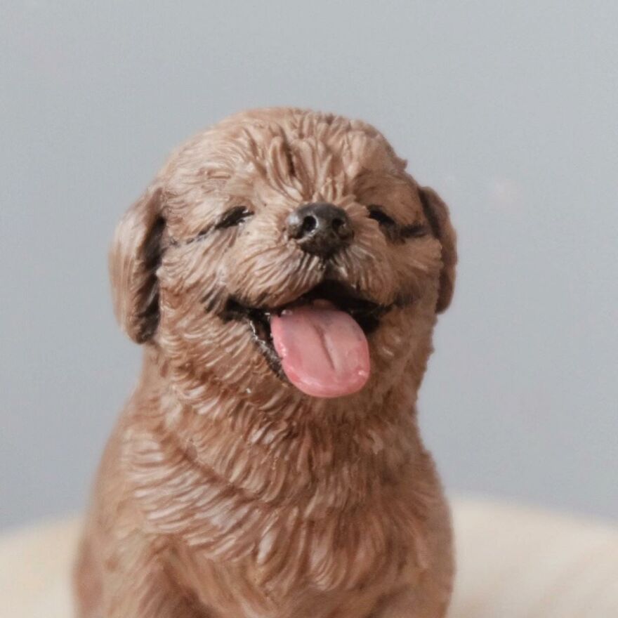 70 Tiny Animal Sculptures That I Created From Clay 70 Tiny Animal Sculptures That I Created From Clay