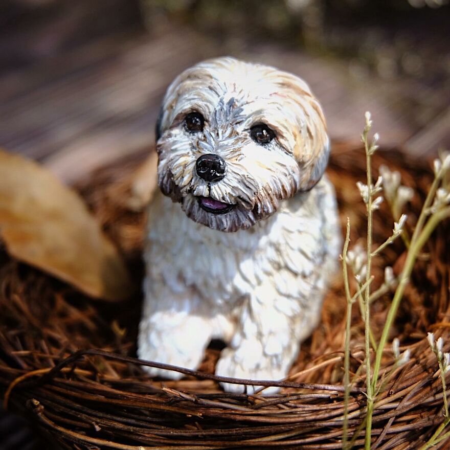 70 Tiny Animal Sculptures That I Created From Clay 70 Tiny Animal Sculptures That I Created From Clay